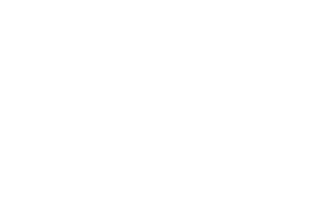 Torres and Zheng Business Law Footer Logo